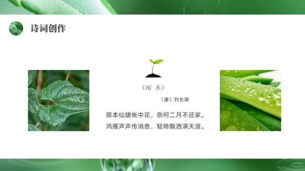 雨水绿色露水背景通用PPT模板