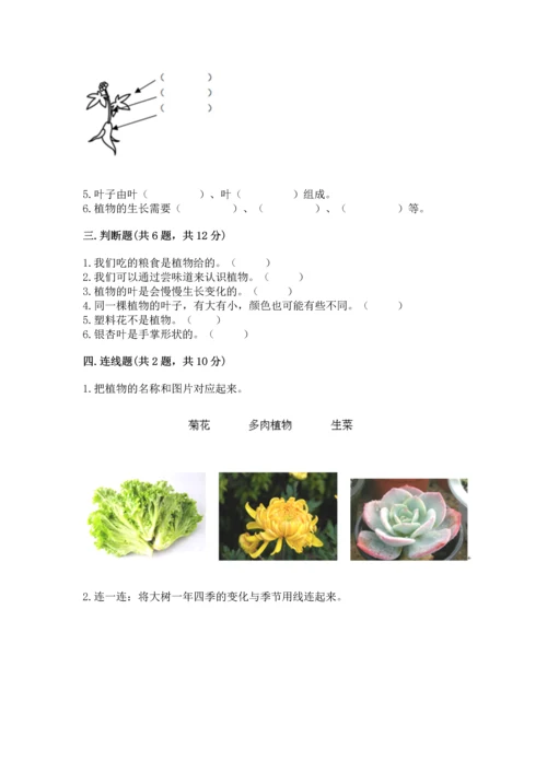 教科版科学一年级上册第一单元《植物》测试卷及完整答案（精品）.docx
