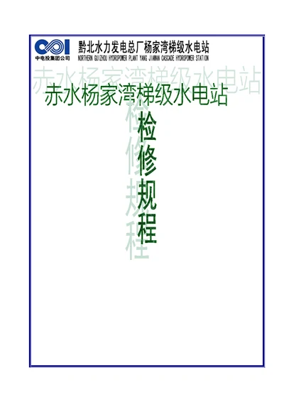 杨家湾电站检修调试专题规程初