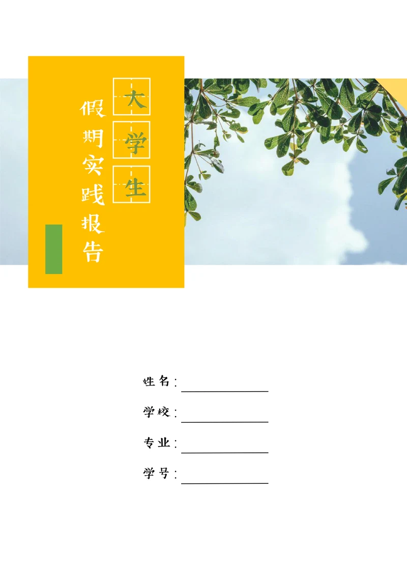 大学生假期社会实践报告范例