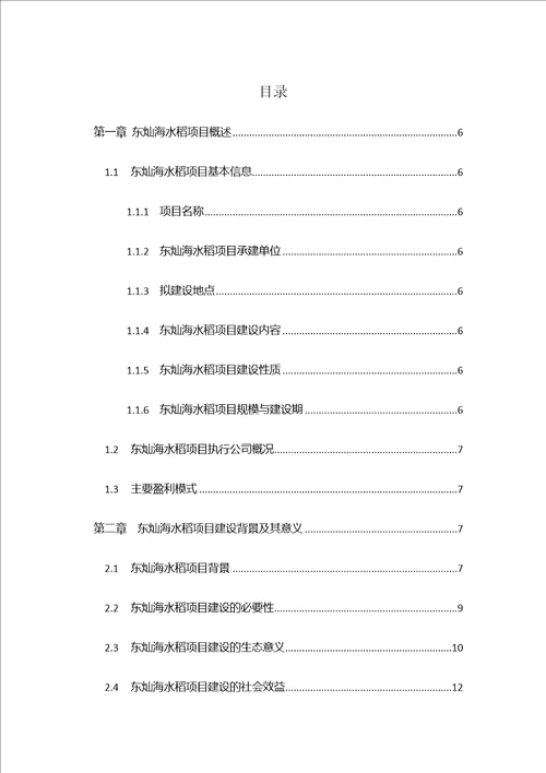 东灿海上水稻项目商业计划书