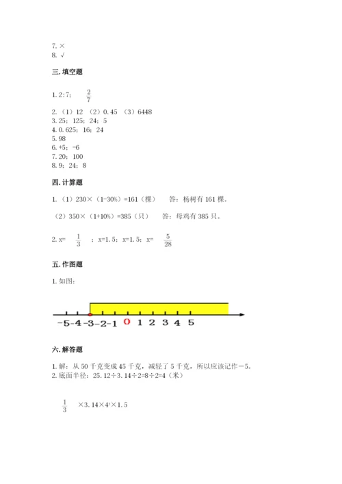 北京版六年级下册数学期末测试卷【考点梳理】.docx