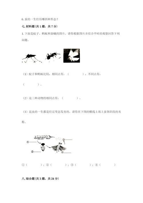 教科版科学三年级下册 期末测试卷精品（能力提升）.docx