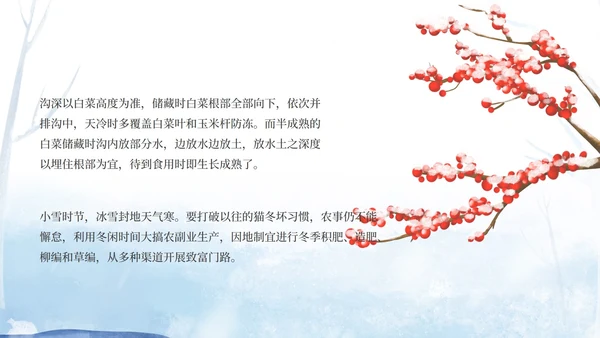 小清新卡通蓝色雪人节气介绍PPT模板
