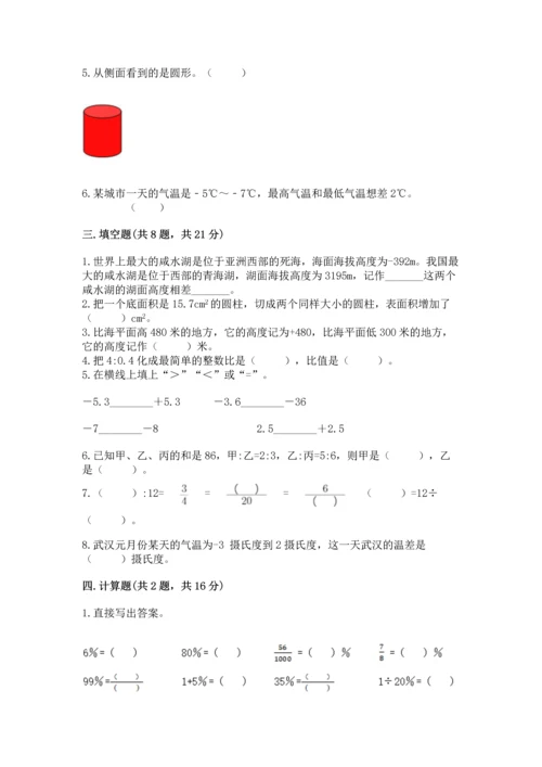 小学数学六年级下册期末测试卷带答案ab卷.docx