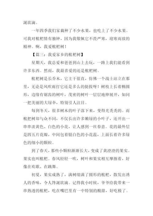 枇杷树作文600字.docx