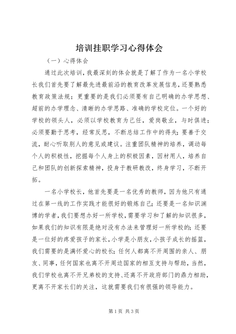 培训挂职学习心得体会_1.docx