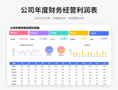 公司年度财务经营分析利润表