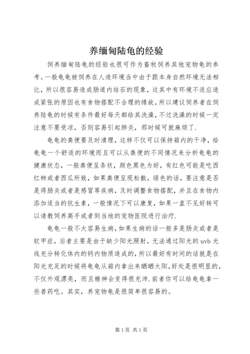 养缅甸陆龟的经验.docx