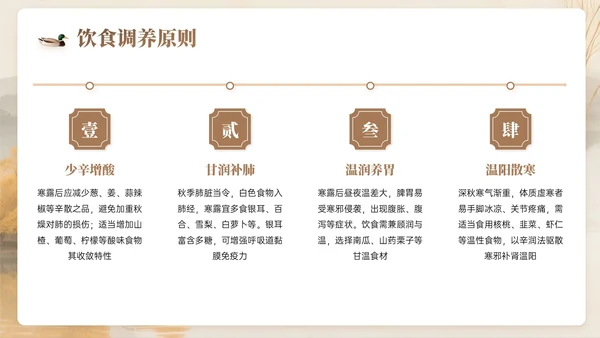 棕色系中国风寒露节气知识PPT模板