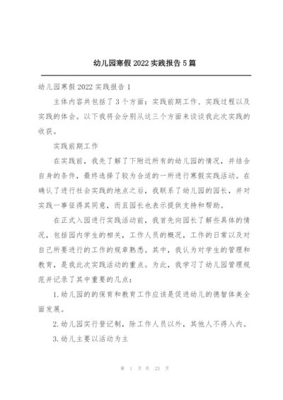 幼儿园寒假2022实践报告5篇.docx
