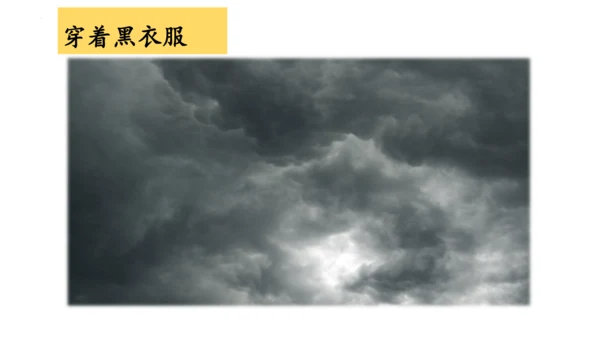 2《我是什么》  课件