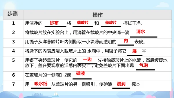 人教版（2024）七年级上册1.2.1 植物细胞 课件(共34张PPT)