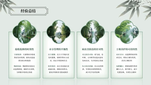 绿色中国风大暑节气介绍通用模板