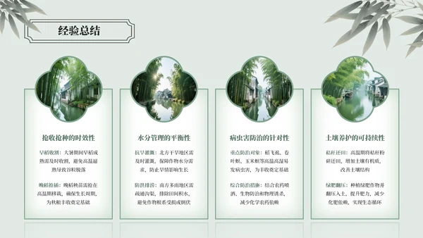 绿色中国风大暑节气介绍通用模板