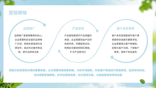 浅蓝色简约风饮品行业商业计划书