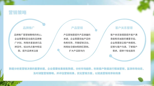 浅蓝色简约风饮品行业商业计划书