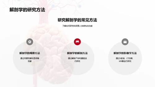 解剖学的医学精要