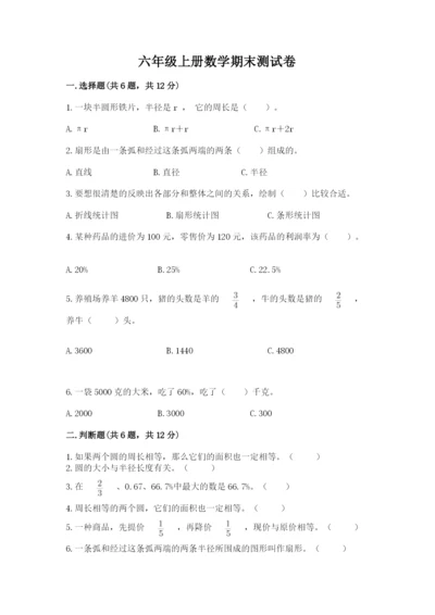 六年级上册数学期末测试卷附完整答案【典优】.docx