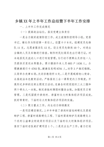 乡镇某年上半年工作总结暨下半年工作安排.docx