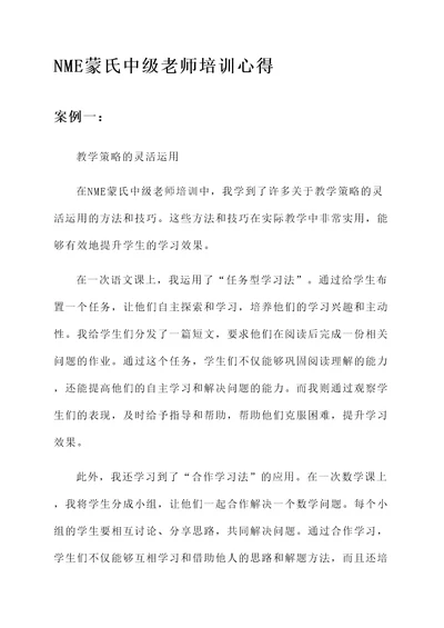 NME蒙氏中级老师培训心得