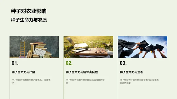 种子生命力研究