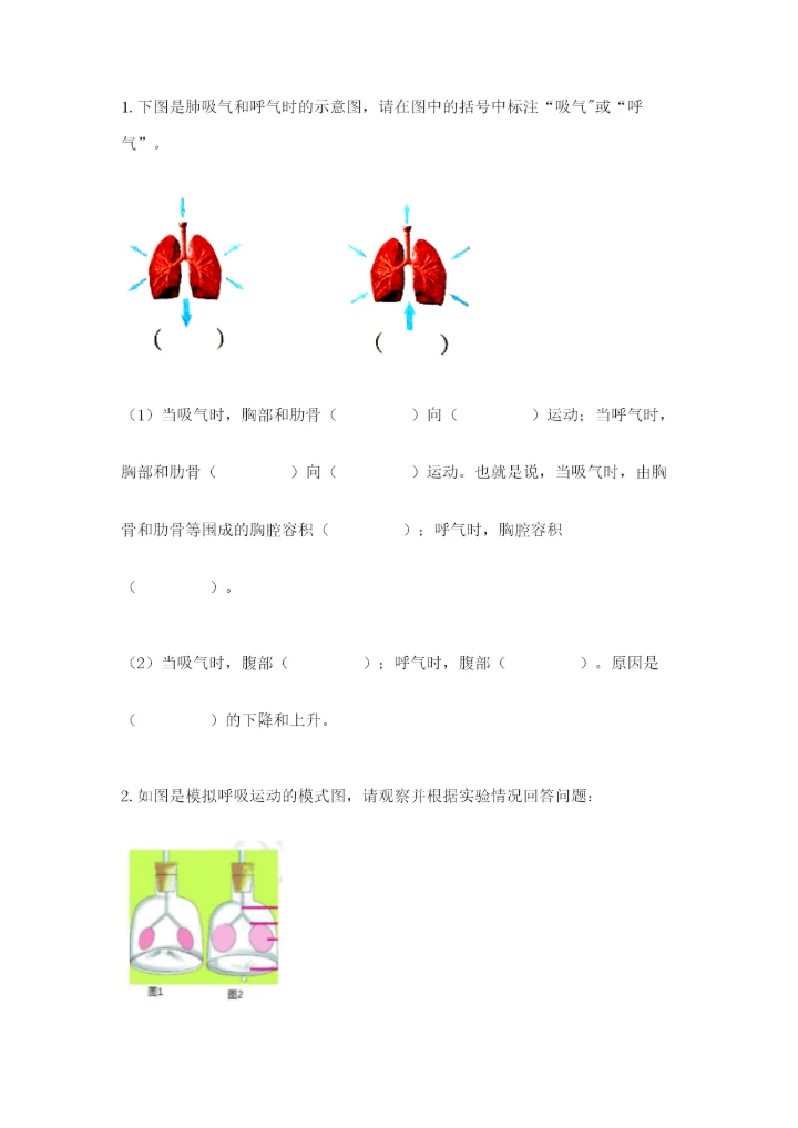 教科版四年级上册科学期末测试卷有解析答案.docx