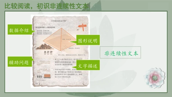 “一核双五”阅读教学法 统编版语文五年级下册第七单元-整体推进课 课件