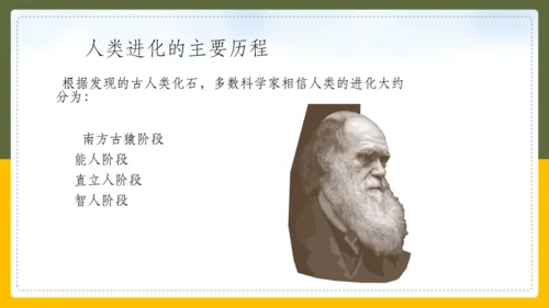 人类的起源和进化生物课通用PPT课件