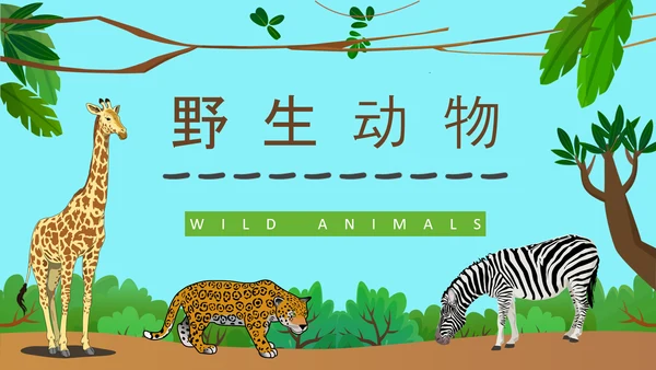 野生动物保护公益活动PPT模板