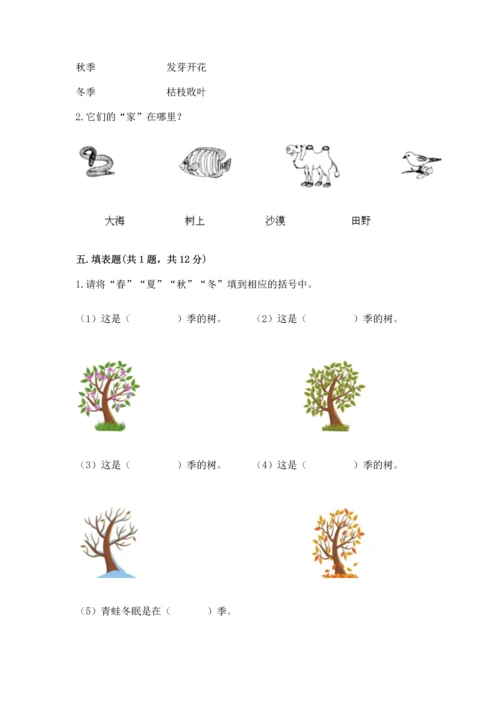 教科版二年级上册科学期末测试卷（易错题）.docx