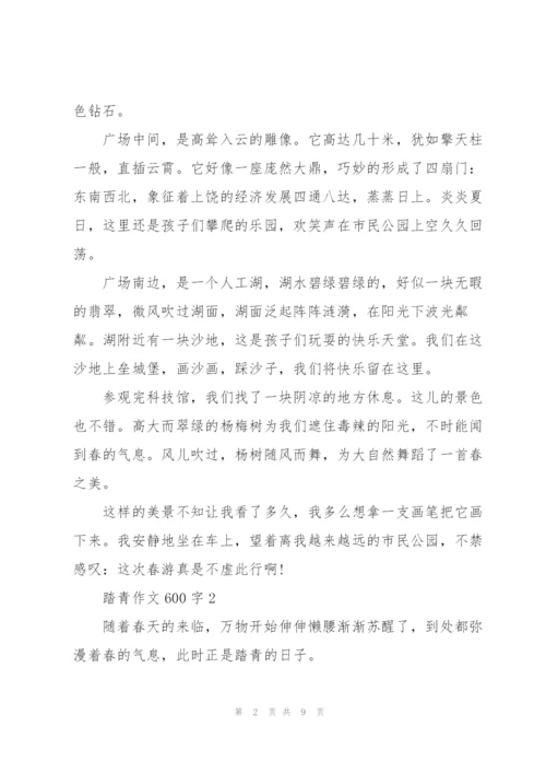 踏青作文600字5篇.docx