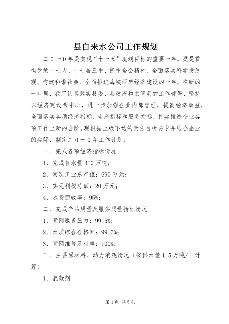 县自来水公司工作规划.docx