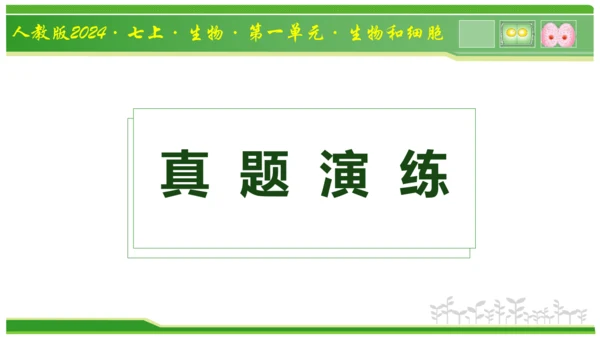 第三章从细胞到生物体（串讲课件）-七年级生物上学期期中考点大串讲（人教版2024）(共40张PPT)