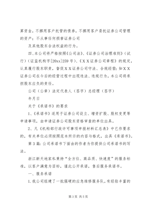 公司承诺书（共3篇）.docx