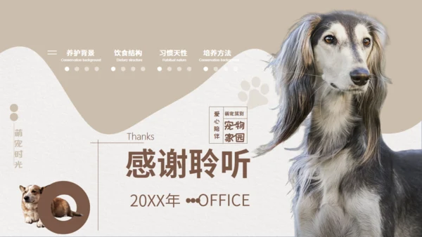 宠物养护护理通用PPT模板
