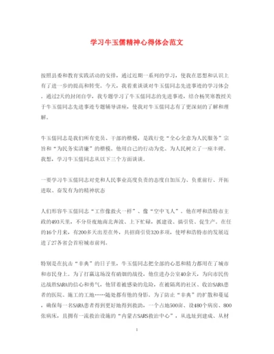 精编学习牛玉儒精神心得体会范文.docx