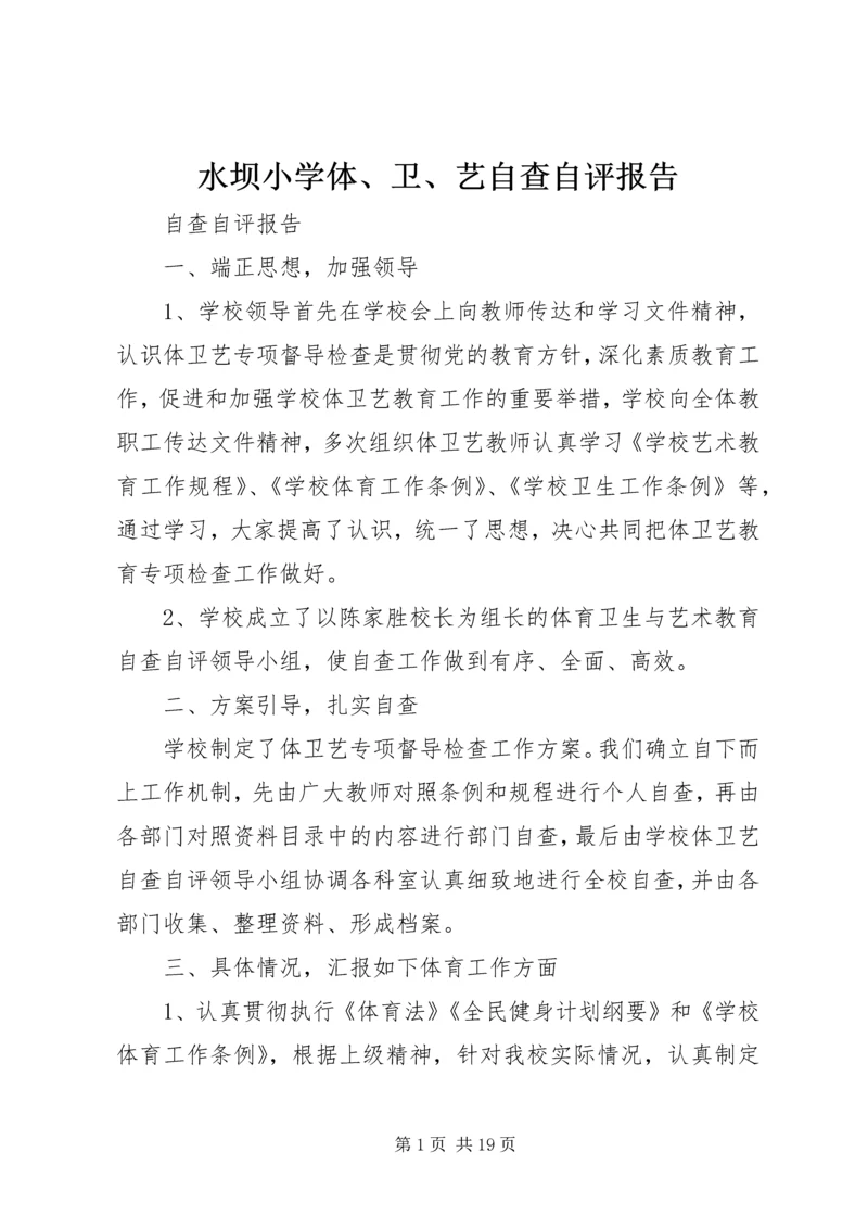 水坝小学体、卫、艺自查自评报告.docx