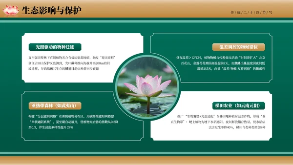 绿色古风二十四节气夏至节气介绍PPT模板