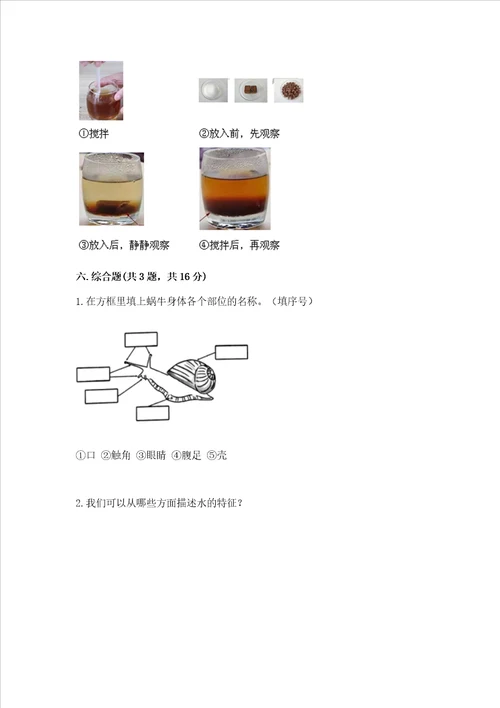 教科版一年级下册科学期末测试卷附参考答案研优卷