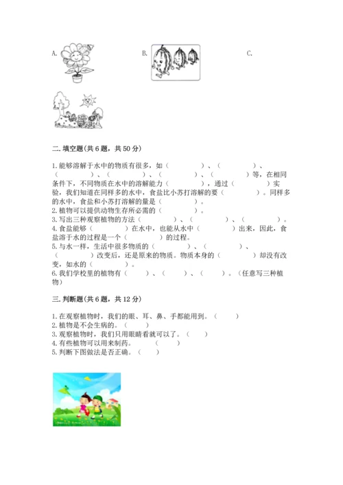 教科版科学一年级上册第一单元《植物》测试卷精品（历年真题）.docx