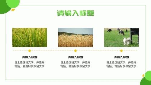 黄绿色几何实景乡村振兴新篇章PPT模板