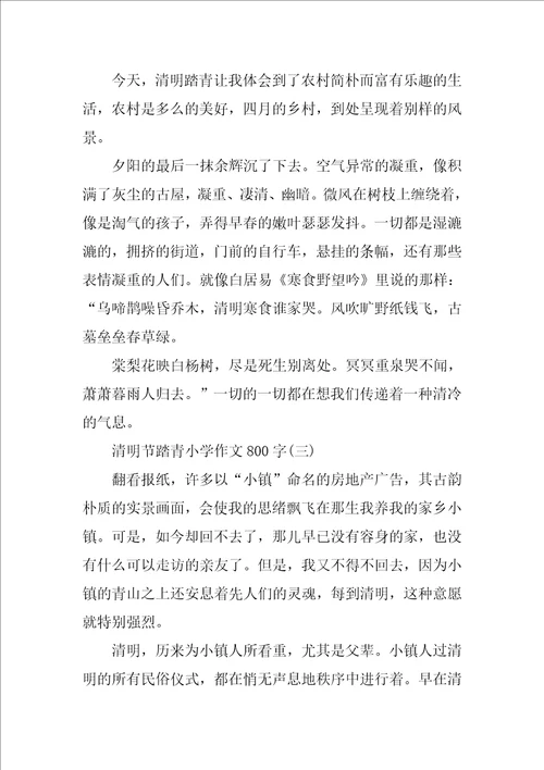 清明节踏青小学作文800字5篇