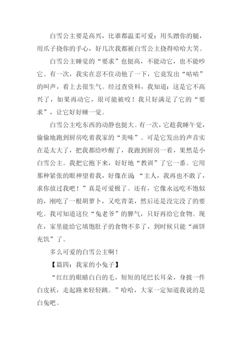 我家的小兔子作文.docx