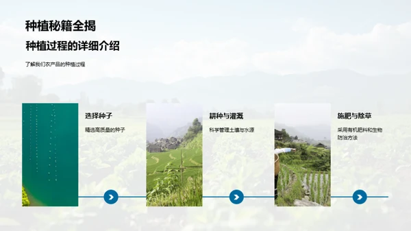 农品质量之路
