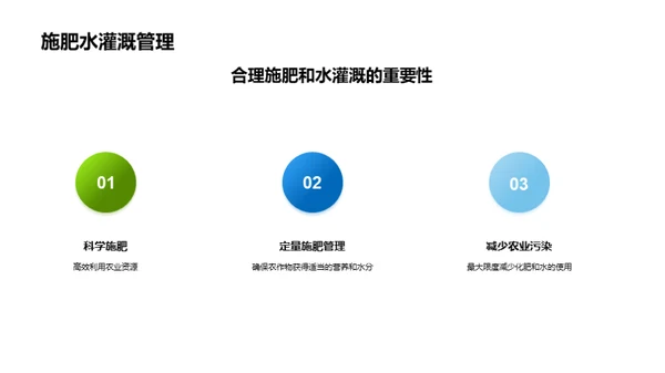 绿色农业：创新之道