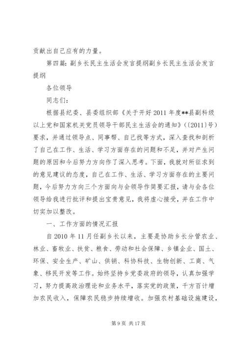 副乡长民主生活会发言提纲 (2).docx