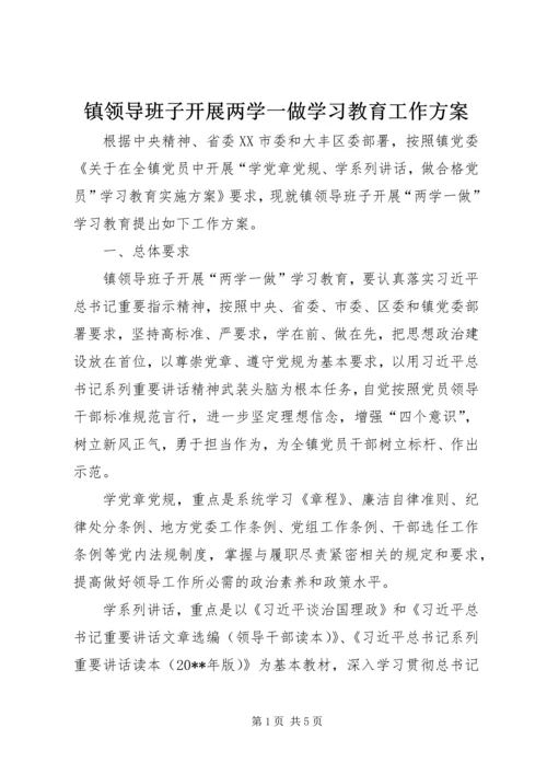 镇领导班子开展两学一做学习教育工作方案.docx