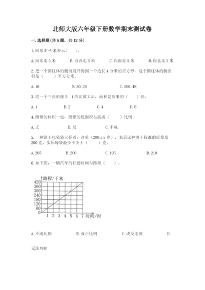 北师大版六年级下册数学期末测试卷含答案（巩固）.docx