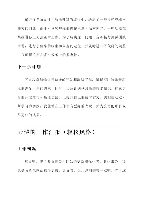 云恺的工作汇报